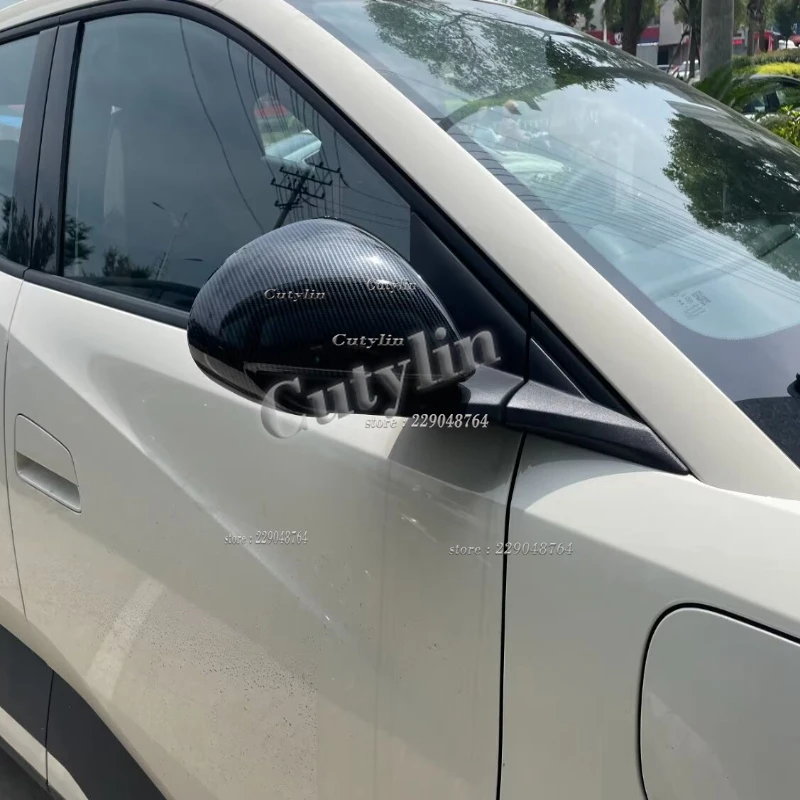 BYD Dolphin Mini / Seagull / Dolphin Surf 2024-2026 Mirror Wing Cap Covers