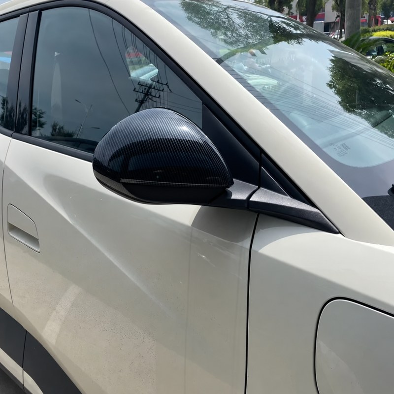 BYD Dolphin Mini / Seagull / Dolphin Surf 2024-2026 Mirror Wing Cap Covers