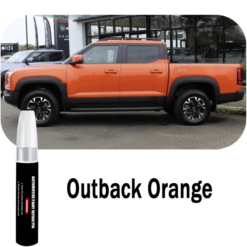 BYD Shark 6 Touch-Up Paint Pen view 7